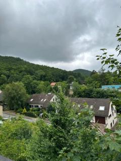 Ferienhaus Ruhepol - Bad Harzburg - 8