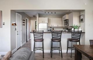 Snowblaze Condos Building C unit 22 - 5