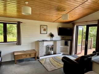 Willow Lodge - Falmouth - 5