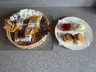 Willow Lodge - Falmouth - 1