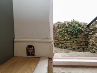 Sea Pink Studio - Swanage - 4