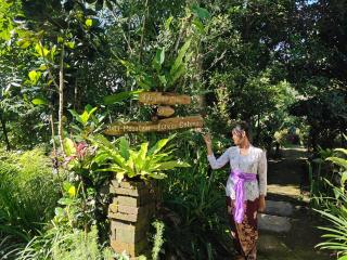 Bali mountain forest cabin - Penebel - 5