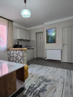 SNAM Rooms&Apartment - Žabljak - 8
