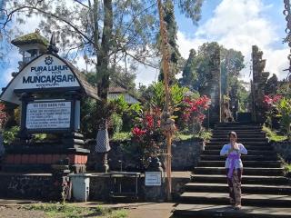 Bali mountain forest cabin - Penebel - 7