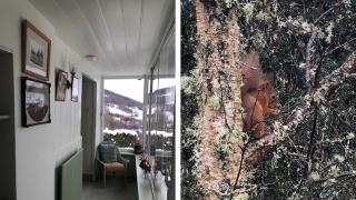 Dhivach Lodge - Drumnadrochit - 5