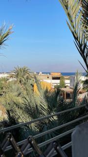 Palmwood Seaview 3 Bright & cozy - Dahab - 2