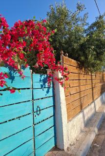 Under the Old Olive Tree - Artemida - 6