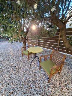 Under the Old Olive Tree - Artemida - 7