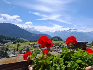 Le Nid d'aigle apt Leysin centre avec forfait piscine sauna jacuzzi en option - Leysin - 0