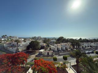 Piso los Agaves - - 4