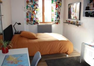 Chambres d'hôtes chez l'habitant, circuit 24h, Pôle Européen du Cheval, etc - Marigné-Laillé - 6