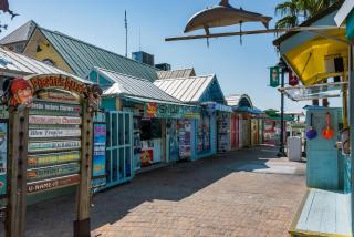 The Seashell 102! Super Hidden Gem! Free Activities Included! - 8