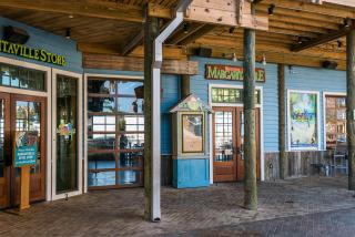 The Seashell 102! Super Hidden Gem! Free Activities Included! - 7