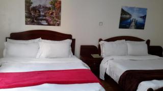 Dream View Guest House - Addis Abeba - 0