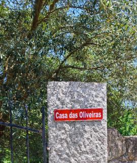 Casa Nova das Oliveiras - Braga - 8
