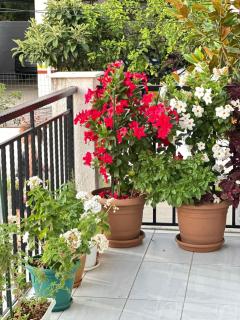 Sunflower Apartment - Saranda - 9
