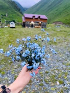 Hotel Arkhoti - 8