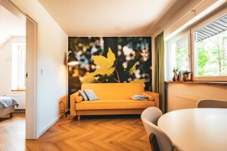 Las Apartamenty - z pomostem i prywatnym dostępem do jeziora - Borowy Młyn - 8