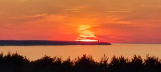 Sunny amber coast - 7