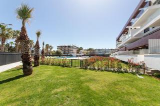 Oceans Oliva - 2
