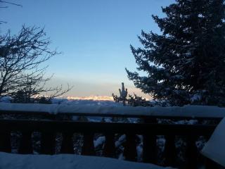 Chalet des lupins - Chalet 1P2 - Chamrousse - 1