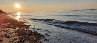 Sunny amber coast - Jūrmala - 9
