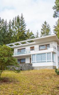 Vilas & Wellness Resort Orlík - 1