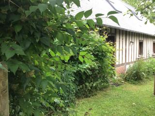 Gîte des Tournesols - Écaquelon - 3