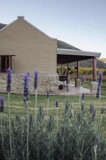 Vogelsang Farm Cottage - Oudtshoorn - 8