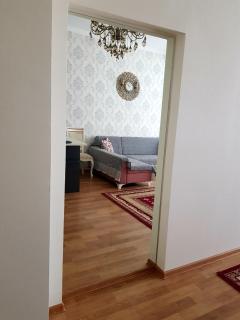 Central Baku Luxor Apartament on Nizami Street - Baku - 8