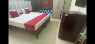Apollo Guest House - Neu-Delhi - 3