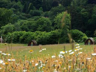 Hogchester Meadow Pods - Charmouth - 4