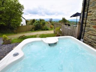 2 Bed in Conwy 74147 - Eglwys-Fâch - 8