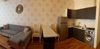 Central Baku Luxor Apartament on Nizami Street - Baku - 2