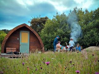 Hogchester Meadow Pods - Charmouth - 3