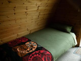Hogchester Meadow Pods - Charmouth - 1