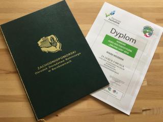 Krajobraz z Wiatrakami nad morzem i jeziorem Kopań - 4