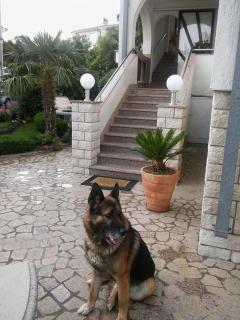 Garfild Guest house - Novi Vinodolski - 4