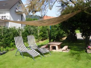 Ferienwohnungen Müller - Haslach im Kinzigtal - 2