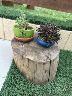 Villa Amaryllis - Pulsano - 8