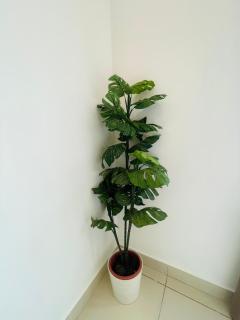 Hejmo Suites - George Town - 3