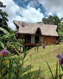 Flower of Life Ayahuasca Healing Center - Iquitos - 3