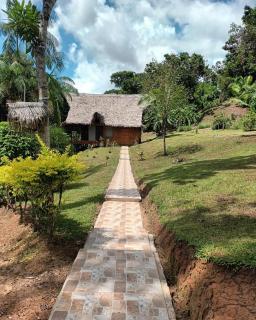 Flower of Life Ayahuasca Healing Center - Iquitos - 1