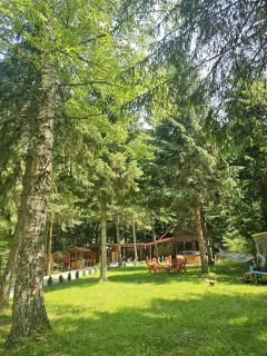 Misha's House - Porumbacu de Sus - 6
