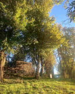 La FortBelle - - 6