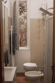 The Tuscany Rose - Pistoia - 1