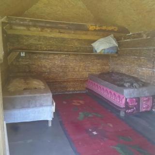 Bed and water - Plav - 1