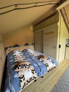Romala's Glamping Hideaway - Ons Belang - 2