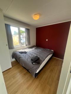 Peaceful chalet near woods - Anloo - 6