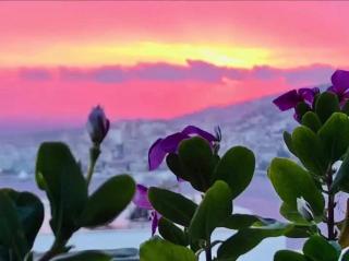 Marin's home apartment - Saranda - 8